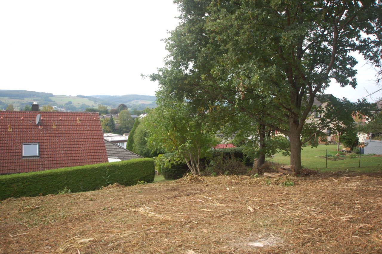 Schönes Baugrundstück mit herrlicher Aussicht mitten in Michelstadt zu verkaufen!