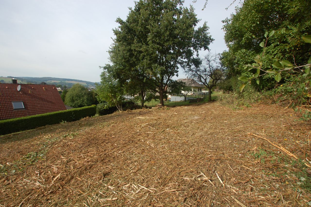 Schönes Baugrundstück mit herrlicher Aussicht mitten in Michelstadt zu verkaufen!