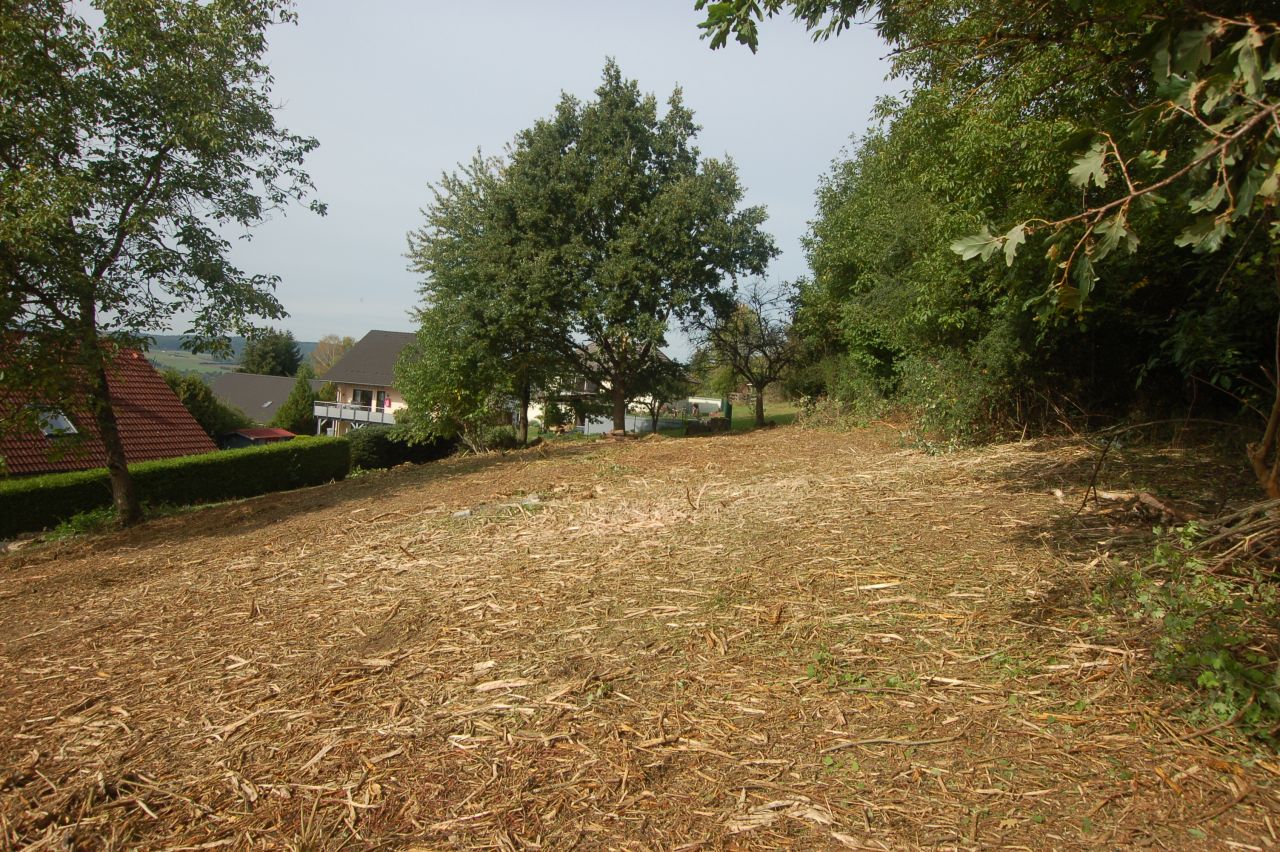 Schönes Baugrundstück mit herrlicher Aussicht mitten in Michelstadt zu verkaufen!