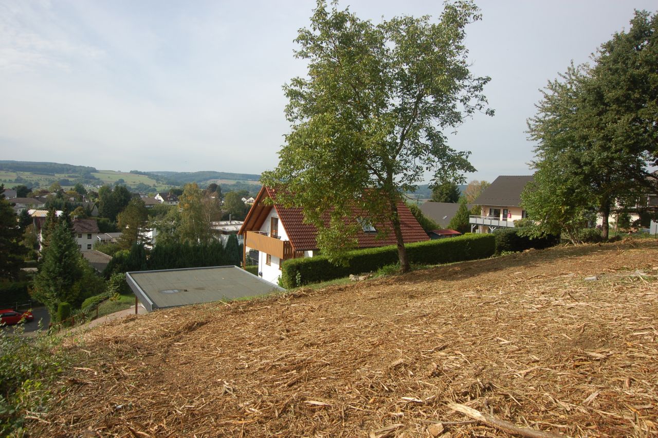 Schönes Baugrundstück mit herrlicher Aussicht mitten in Michelstadt zu verkaufen!