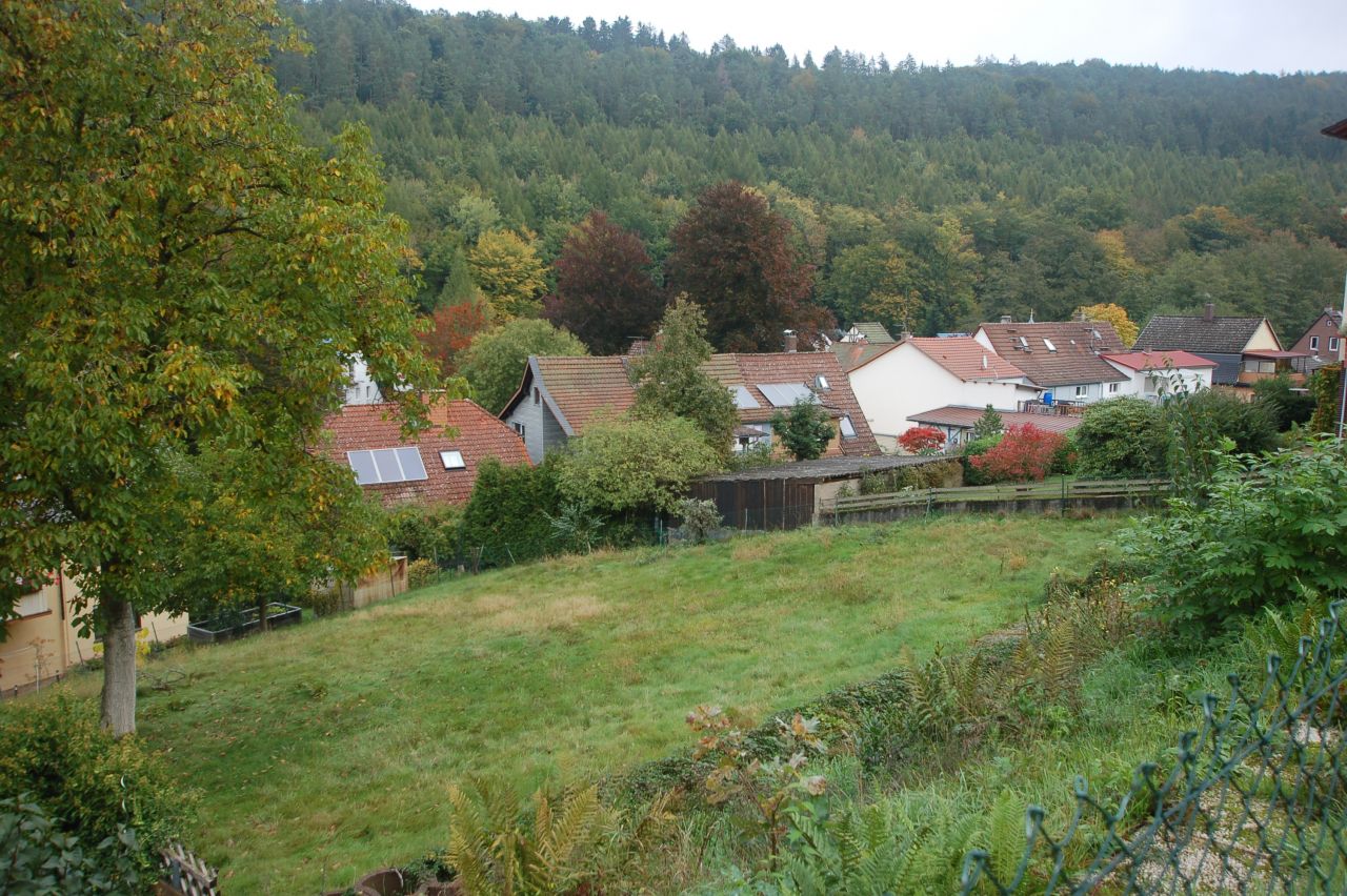 VERKAUFT!- Schönes  Baugrundstück mit traumhaftem Ausblick in Bad König/Zell zu verkaufen!