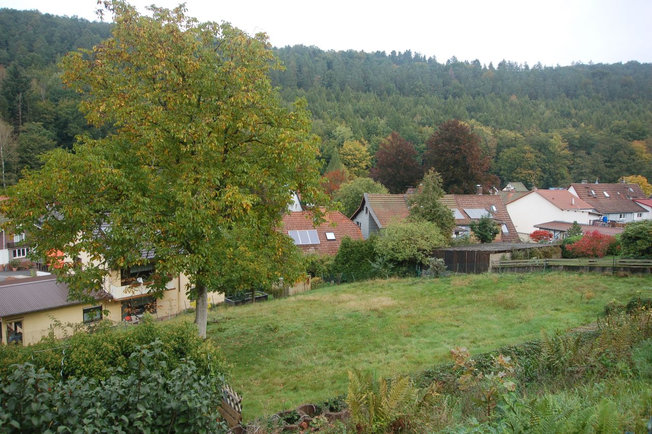 VERKAUFT!- Schönes  Baugrundstück mit traumhaftem Ausblick in Bad König/Zell zu verkaufen!