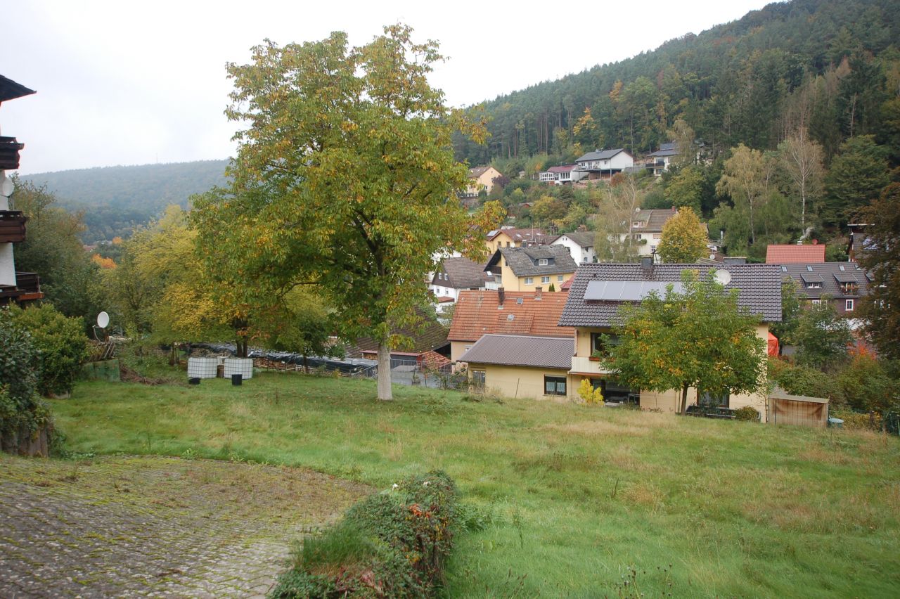 VERKAUFT!- Schönes  Baugrundstück mit traumhaftem Ausblick in Bad König/Zell zu verkaufen!