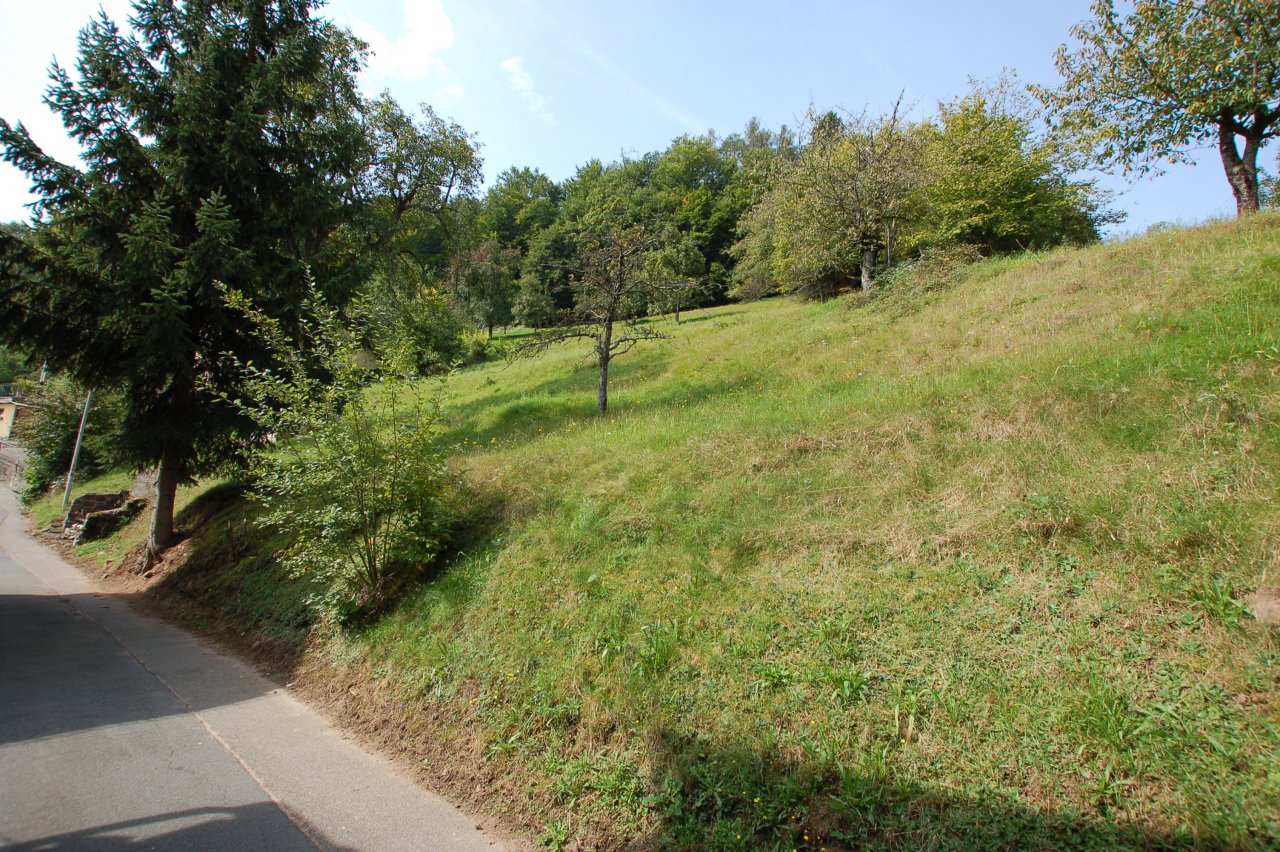 DSC 0017 DSC 0017